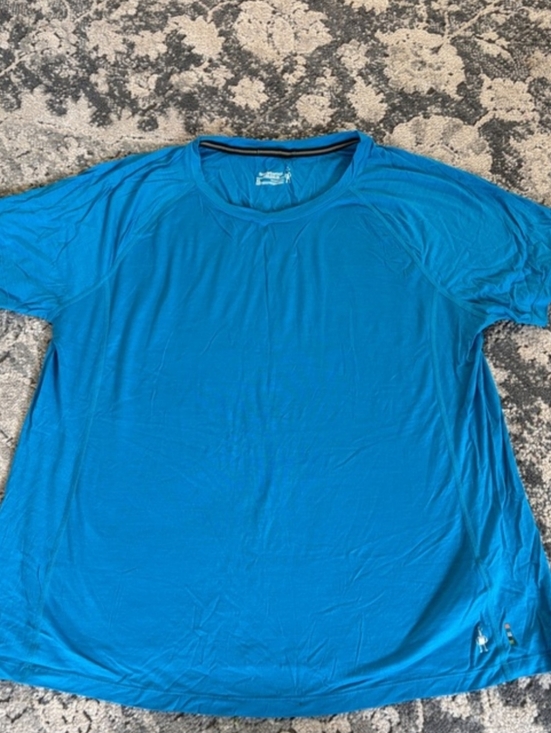 Smartwool Tops - Smartwool womens merino sport 120 Short Sleeve Crew Shirt - Blue Size Large